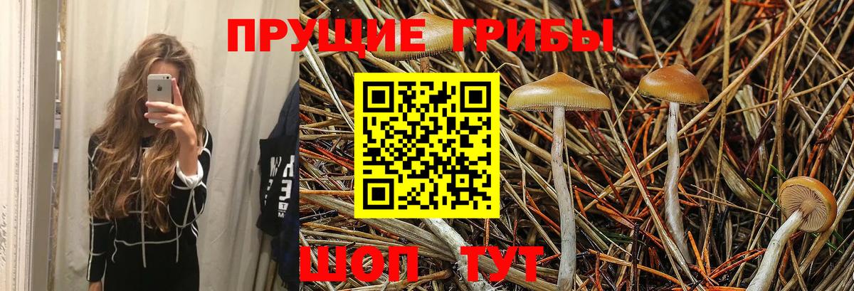 Псилоцибиновые грибы MAGIC MUSHROOMS  Вход с VPN  Обь 